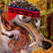 userIcon